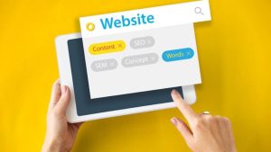 best website design and development company