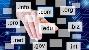 Domain Renewal Service