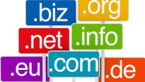 Domain Transfer & Renewal Service