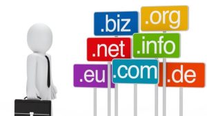 Domain Hosting Service