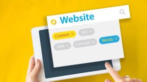 Domain Backorder Service