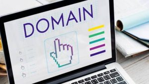 Domain Name Registration Service