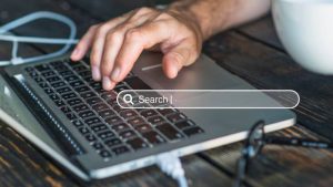 Domain Name Renewal Service