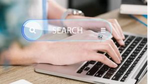 Domain Name Registration and Renewal Service