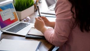 Bulk Domain Hosting Service