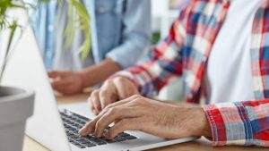 Bulk Domain Name Registration Service