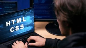 Best WordPress Web Designing and Development